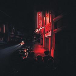 Foto van The neon skyline - lp (8714092747515)