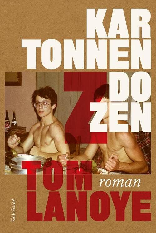 Foto van Kartonnen dozen - tom lanoye - paperback (9789044650662)