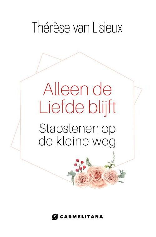 Foto van Alleen de liefde blijft - hardcover (9789492434364)