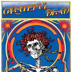 Foto van Grateful dead (skull & roses) - lp (0603497844401)