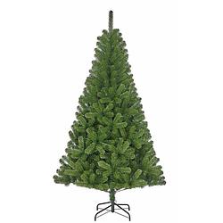 Foto van Kunst kerstboom black box charlton 805 tips 215 cm - kunstkerstboom