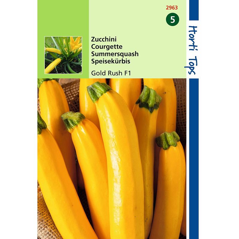 Foto van 2 stuks ht courgette gold rush f1