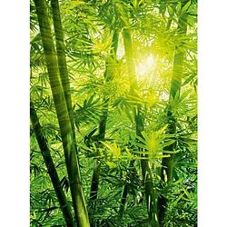 Foto van Wizard+genius bamboo forest vlies fotobehang 192x260cm 4-banen