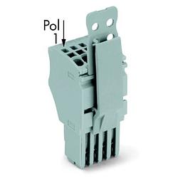 Foto van Wago 2020-103/142-000 connector, female 50 stuk(s)