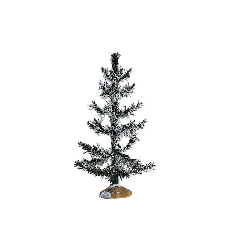 Foto van White pine medium