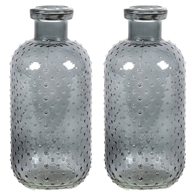 Foto van Countryfield bloemenvaas cactus dots - 2x - donkergrijs transparant - glas - d11 x h24 cm - vazen