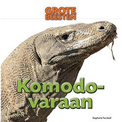 Foto van Komodovaraan - grote beesten