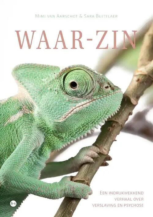 Foto van Waar-zin - mimi van aarschot & sara buitelaer - paperback (9789464687088)