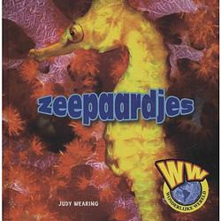 Foto van Zeepaardjes - wonderlijke wereld