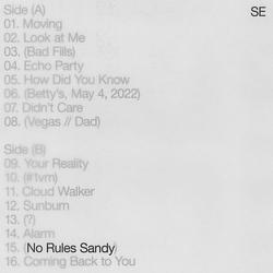 Foto van No rules sandy - cd (0888072462038)