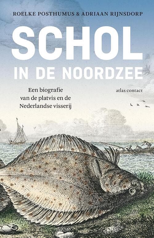 Foto van Schol in de noordzee - adriaan rijnsdorp, roelke posthumus - ebook (9789045031248)