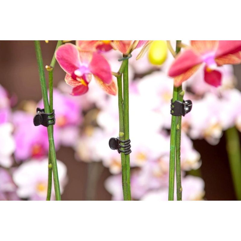 Foto van Nature - orchidee clips zwart set a 10 stuks