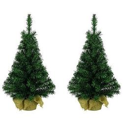 Foto van 2x volle kerstbomen groen in jute zak 45 cm - kunstkerstboom