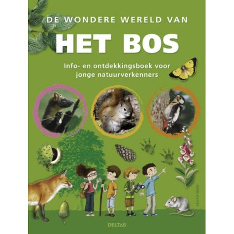 Foto van De wondere wereld van het bos