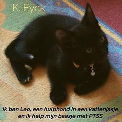 Foto van Ik ben leo, een hulphond in een kattenjasje en ik help mijn baasje met ptss - k. eyck - ebook (9789403626932)