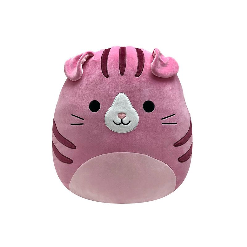 Foto van Squishmallows pluchen knuffel geraldine de roze schotse vouwkat