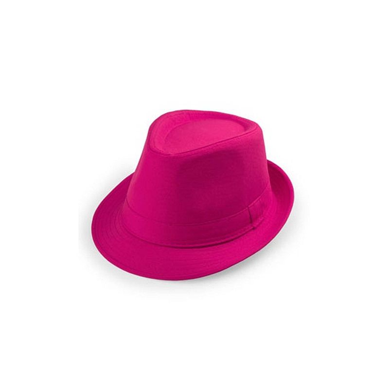 Foto van Roze heren hoedje trilby model voor volwassenen - verkleedhoofddeksels