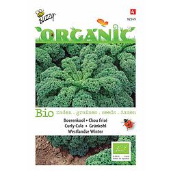 Foto van 5 stuks organic boerenkool westlandse (skal 14275)