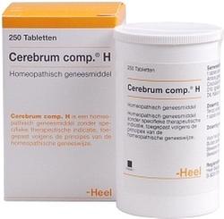 Foto van Heel cerebrum compositum h tabletten 250st