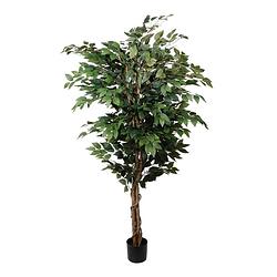 Foto van Kopu® kunstplant ficus benjamina 150 cm in zwarte pot - 1764 bladeren