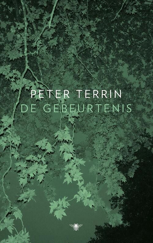 Foto van De gebeurtenis - peter terrin - hardcover (9789403181813)