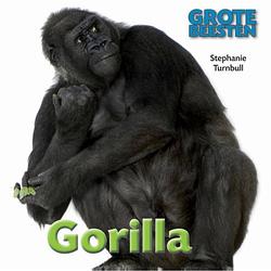 Foto van Gorilla - grote beesten