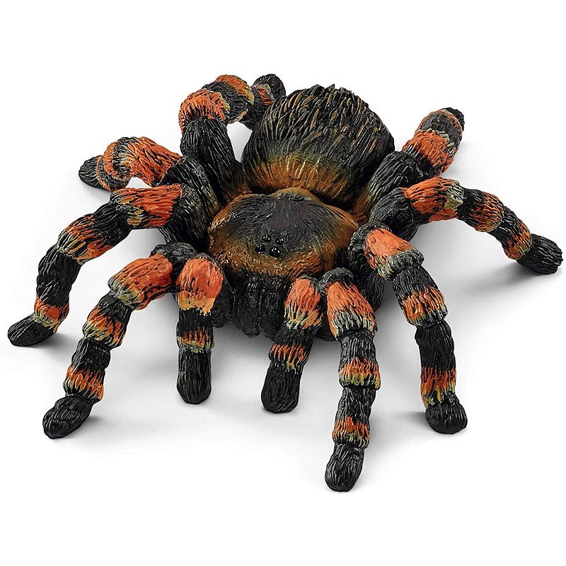 Foto van Schleich safari - tarantula 14829