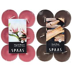 Foto van Candles by spaas geurkaarsen - 24x stuks in 2 geuren magnolia blossom en exotic wood - geurkaarsen