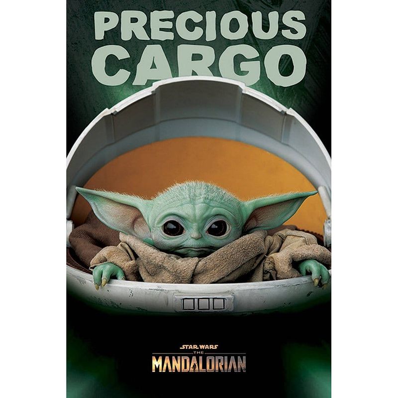 Foto van Pyramid star wars the mandalorian precious cargo poster 61x91,5cm