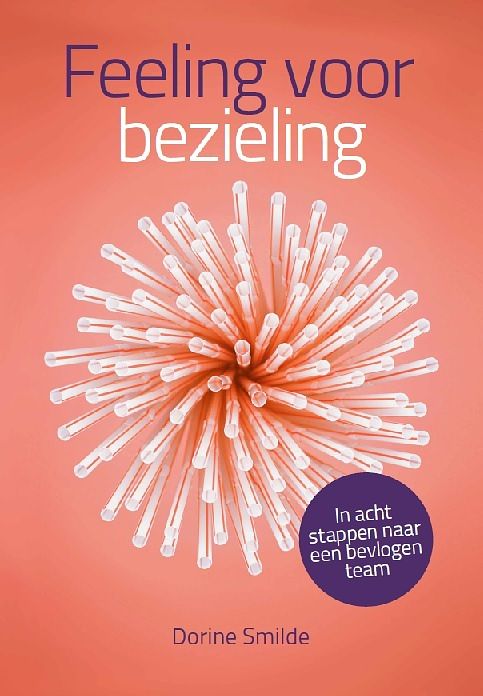 Foto van Feeling voor bezieling - dorine smilde - paperback (9789492528735)