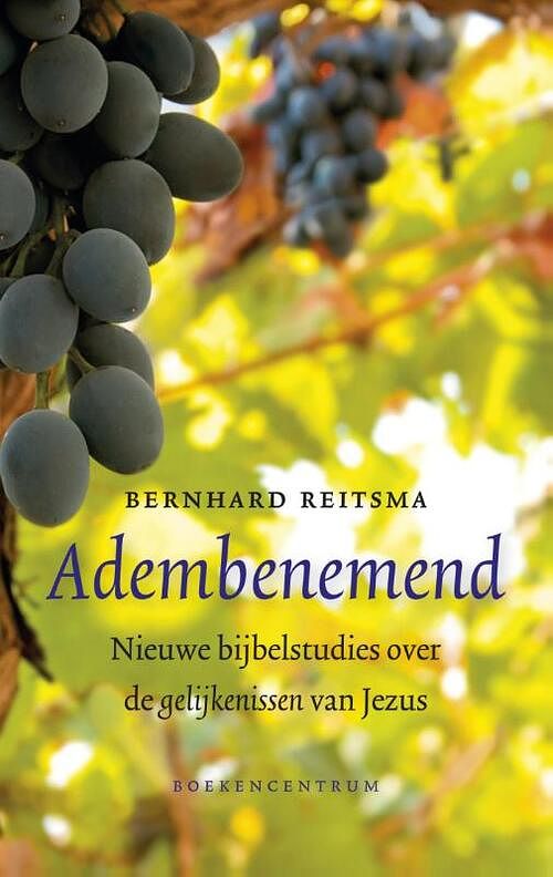 Foto van Adembenemend - bernhard reitsma - ebook (9789023929277)