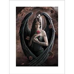 Foto van Pyramid anne stokes angel rose kunstdruk 60x80cm