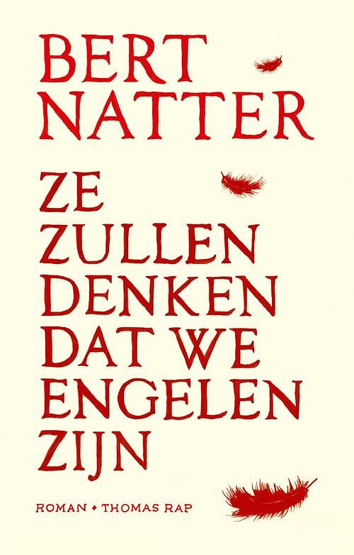 Foto van Ze zullen denken dat we engelen zijn - bert natter - ebook (9789400404557)