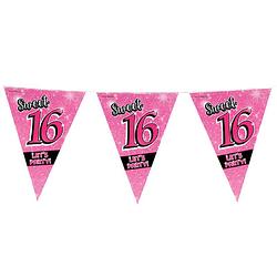 Foto van Paper dreams vlaggenlijn sweet 16 meisjes 10 meter roze