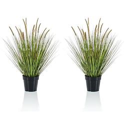 Foto van Set van 2x stuks kunstplanten groen gras sprieten 71 cm. - kunstplanten
