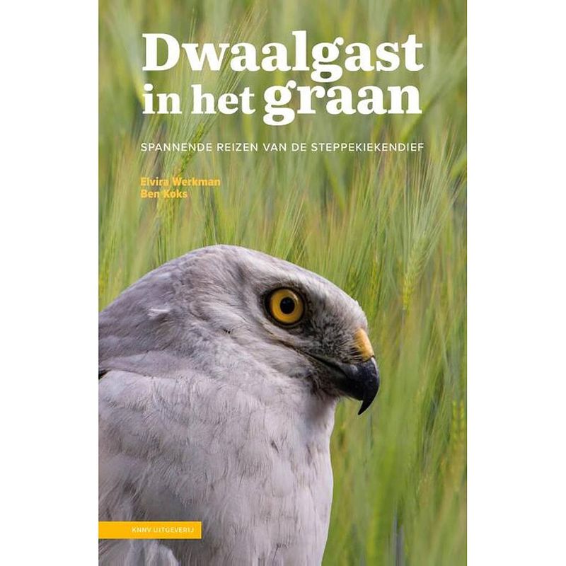 Foto van Dwaalgast in het graan