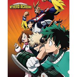 Foto van Pyramid my hero academia heroes to action poster 40x50cm