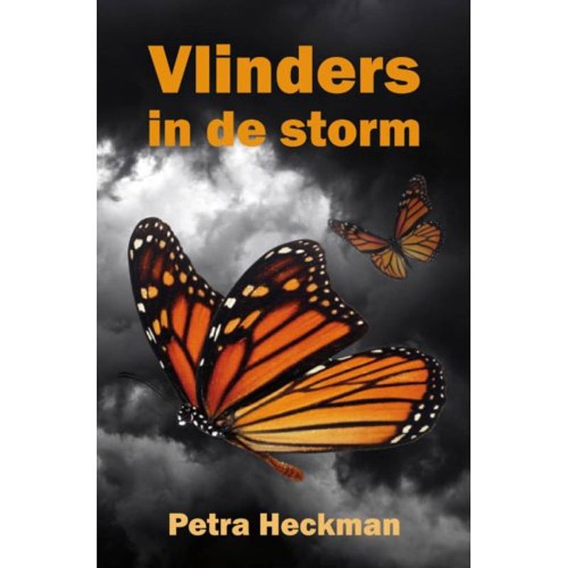 Foto van Vlinders in de storm