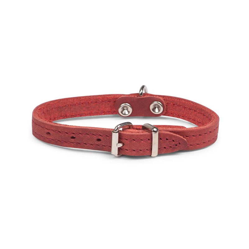 Foto van Dierenbenodigdheden vadigran halsband hond geolied leder rood 27cmx12mm xxs