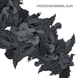 Foto van Mitochondrial sun - lp (8076700121200)