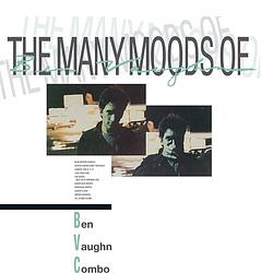 Foto van The many moods of ben vaughn combo - lp (8435008842918)