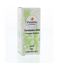 Foto van Volatile citroen eucalyptus (eucalyptus citriodora) 5ml