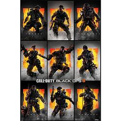 Foto van Pyramid call of duty black ops 4 characters poster 61x91,5cm