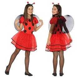 Foto van Dierenpak lieveheersbeestje verkleed jurk/jurkje voor meisjes 140 (10-12 jaar) - carnavalskostuums