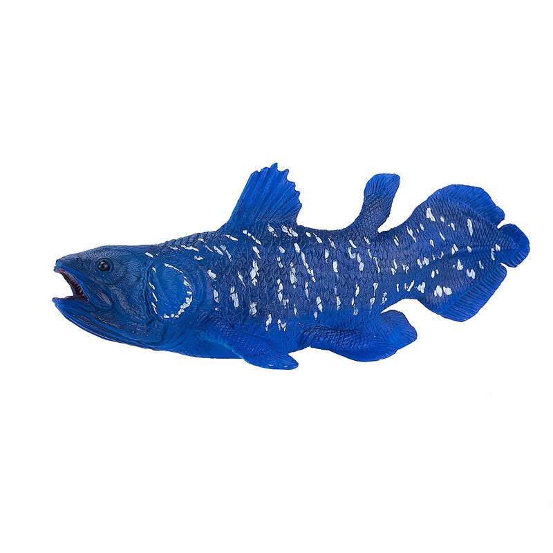 Foto van Mojo sealife coelacanth 381050