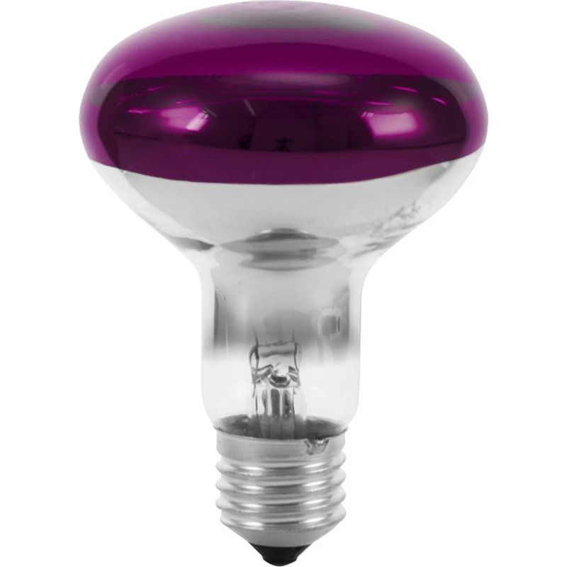 Foto van Eurolite 9210440u halogeen-lamp e27 reflector 60 w violet 1 stuk(s)