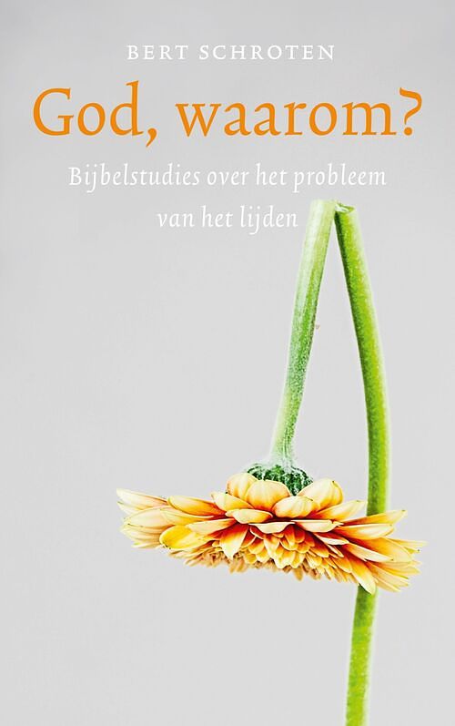 Foto van God, waarom? - bert schroten - ebook (9789043536127)