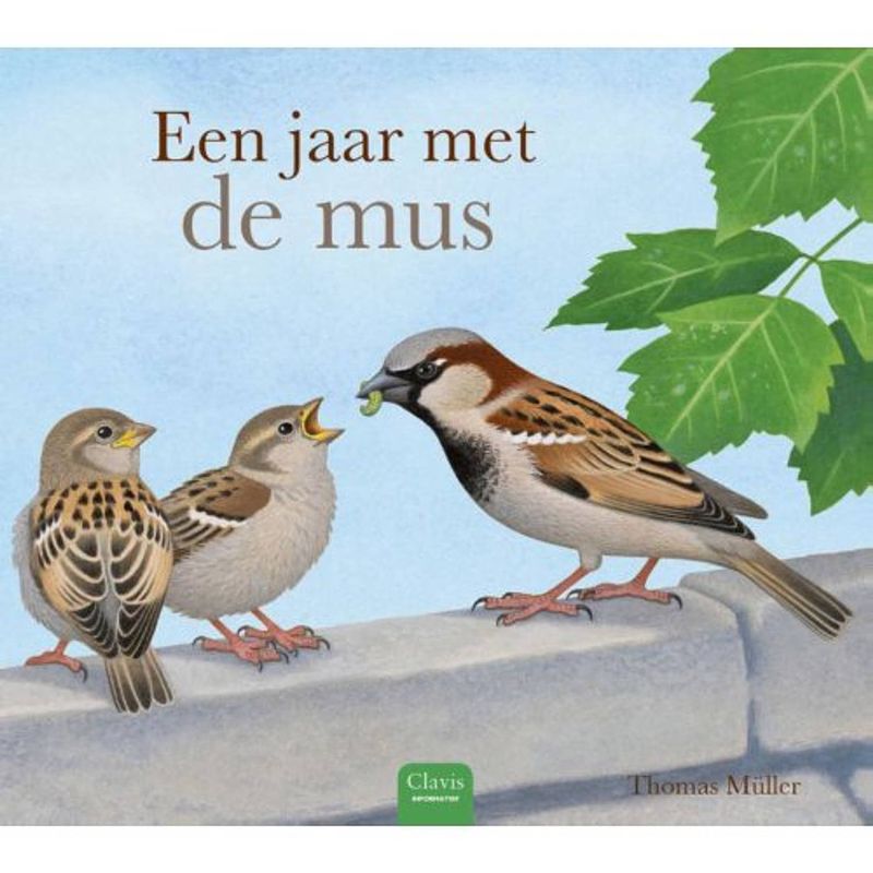 Foto van Een jaar met de mus