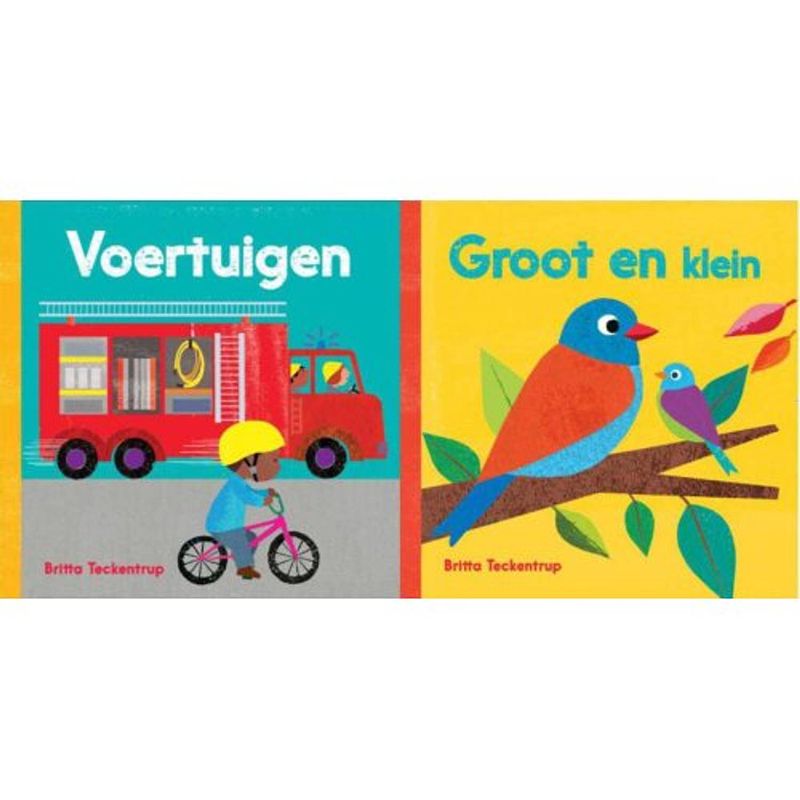 Foto van Voertuigen ; groot en klein set 2 ex