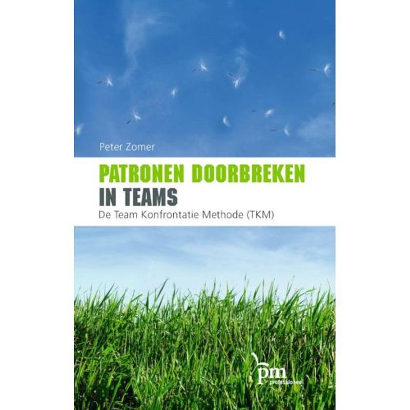 Foto van Patronen doorbreken in teams - pm-reeks